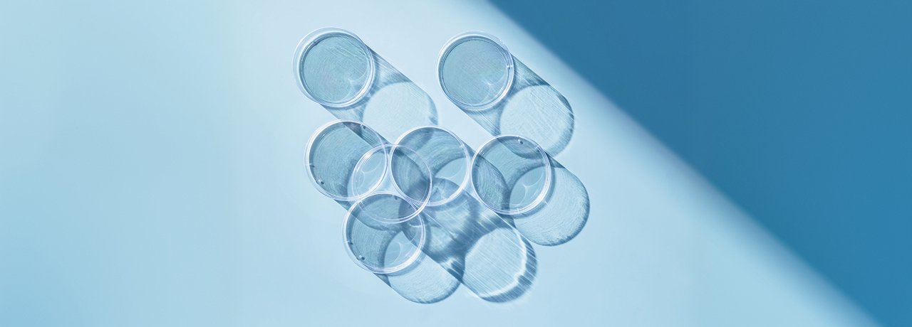 glass discs on a blue background