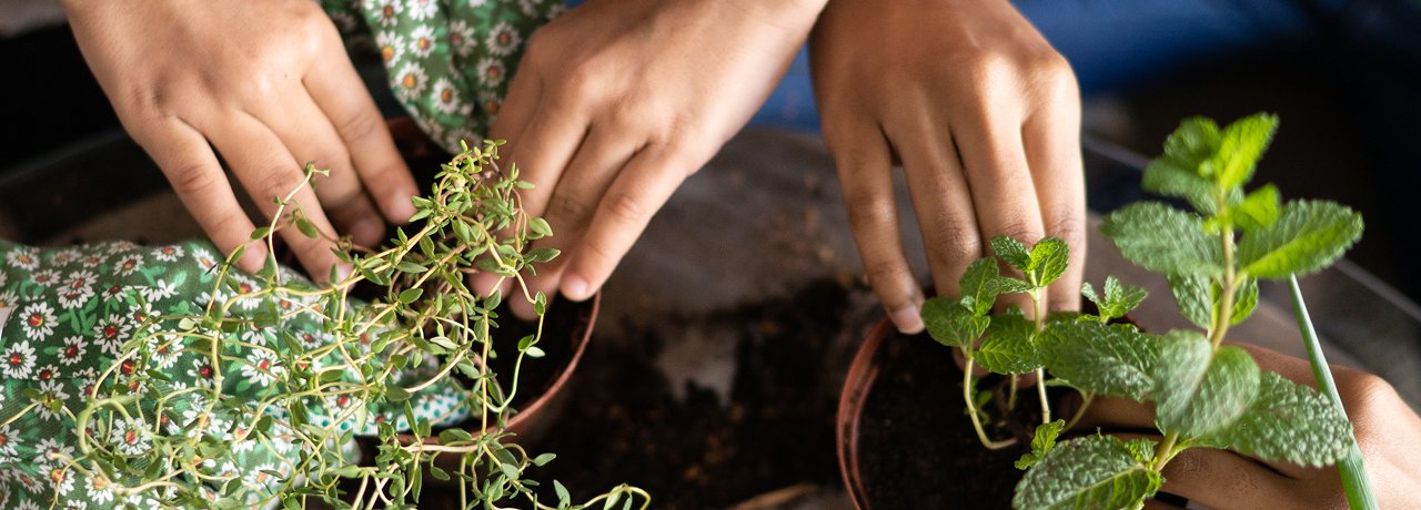 people-planting