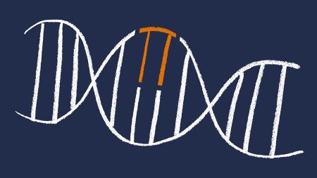Researchers at the University of Virginia School of Medicine have discovered how a common gene mutation robs people of natural cancer protection.