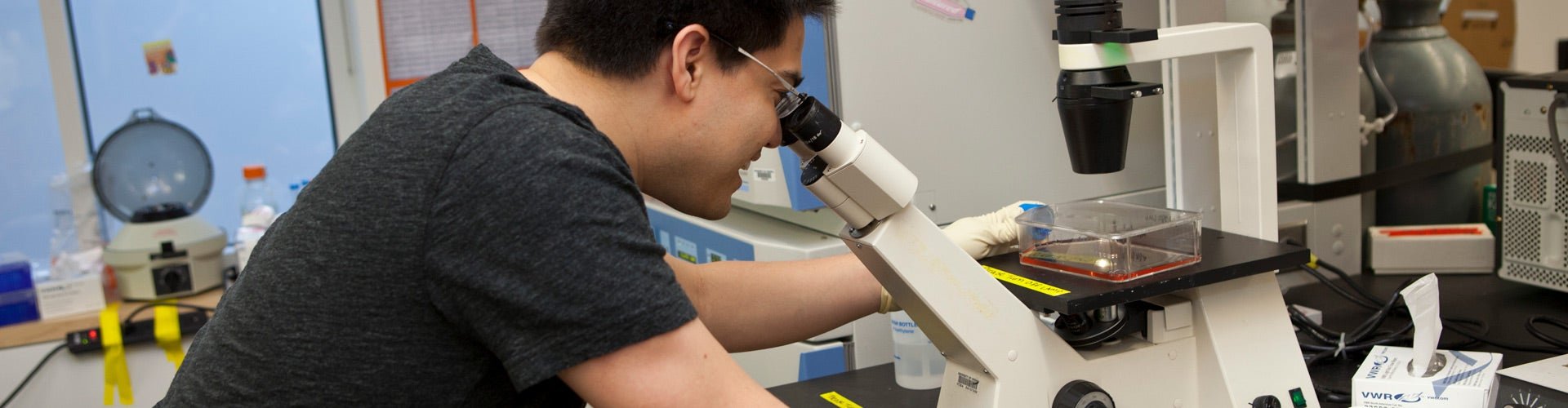 residential student looking at slide through a microscope