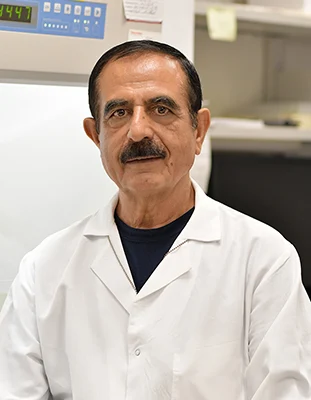 Saleh Mohammad, BS (Nursing) — Laboratory Technician
