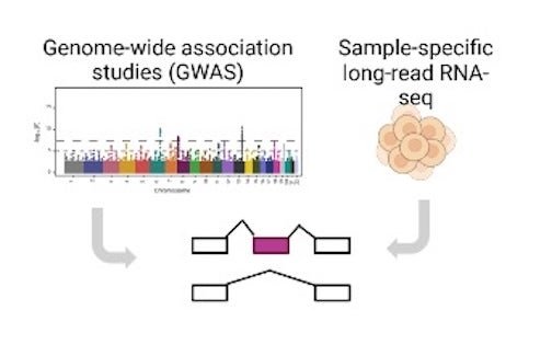 Long Read Transcriptomics Technologies<br>
"Precision" Proteogenomics to characterize protein isoforms<br>
Functional proteomics- Screening for driver proteoforms