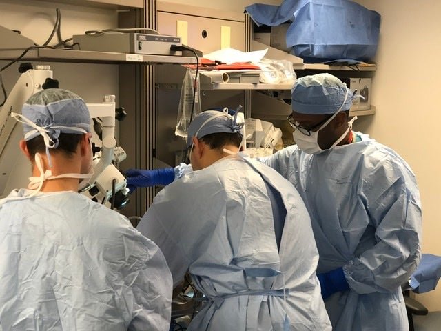 Our department provides a variety of services including Pediatric Neurosurgery, Gamma Knife Radiosurgery, Cerebrovascular Surgery, and more.