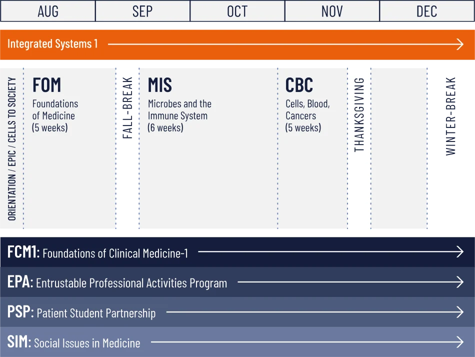 UME Phase:1 Foundational Science and Clinical Medicine Phase [graphic]