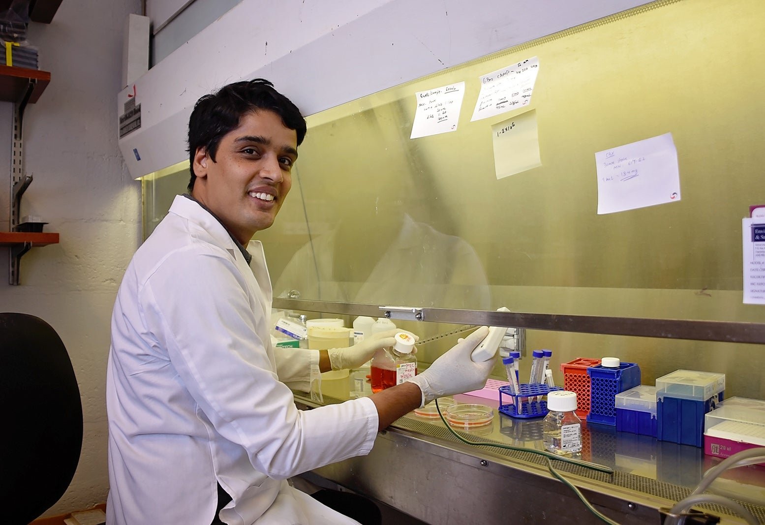 lab member working in the lab