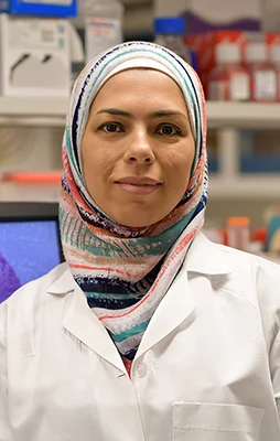 Hiba Mohammed, BS — Laboratory Assistant