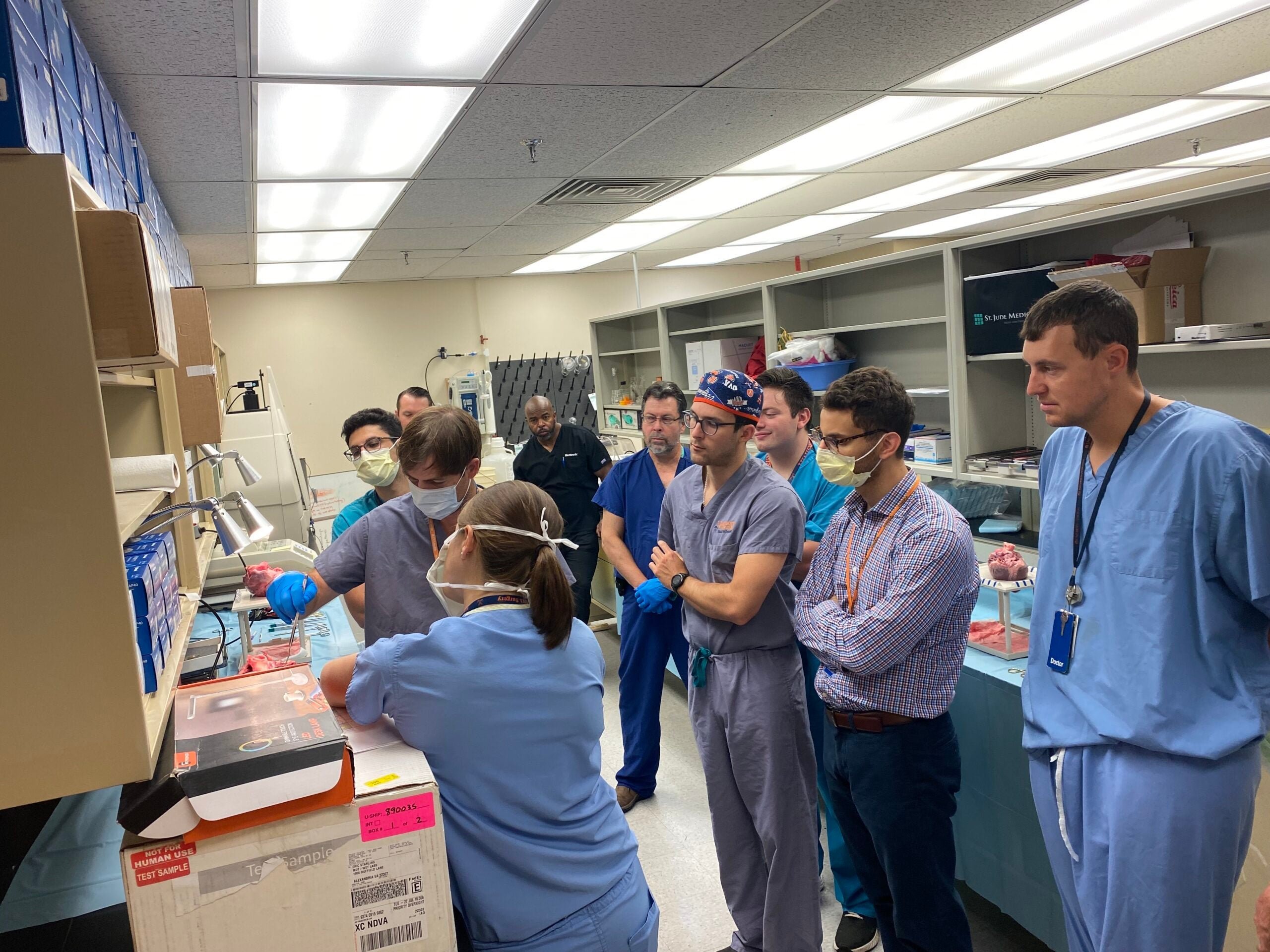 Mitral Sim Session 1