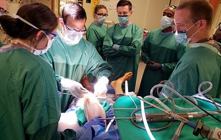 The University of Virginia Department of Orthopaedic Surgery Residency Training Program offers excellent education, training, and research.  With more than 70 years of proven history, UVA is established as a national and international leader in providing outstanding patient care, medical education, and musculoskeletal research.