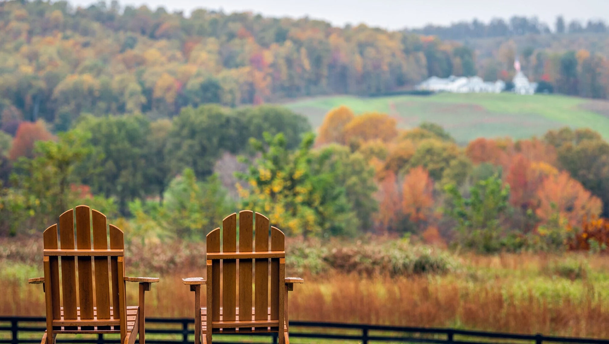 Empty wooden chairs in autumn fall foliage season countryside at winery