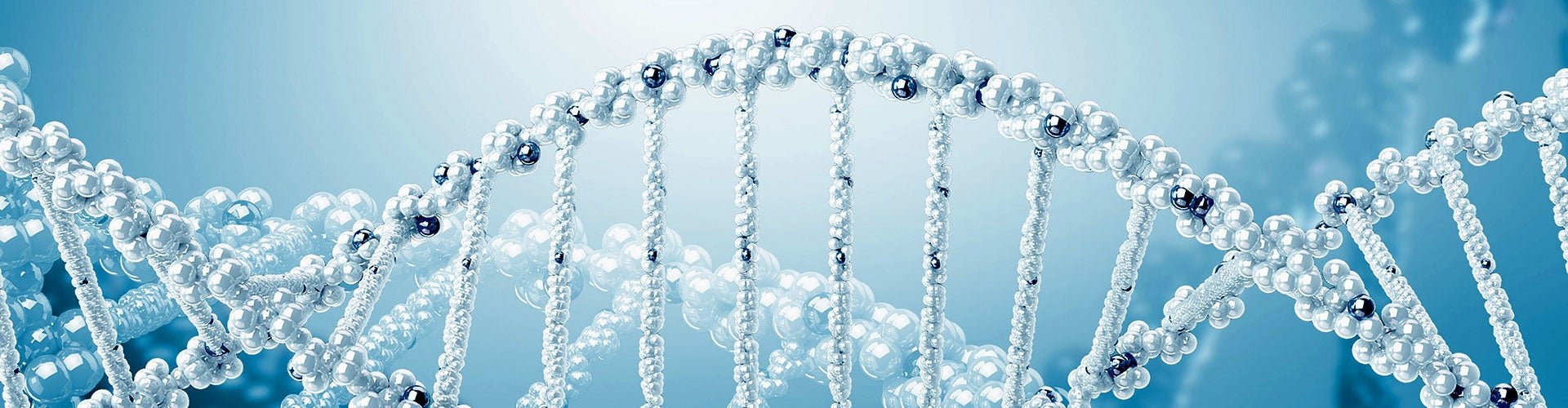 Genetics_mirrored_B
