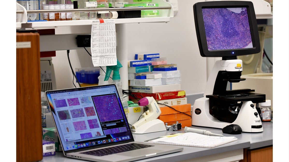 photo of lab equipment