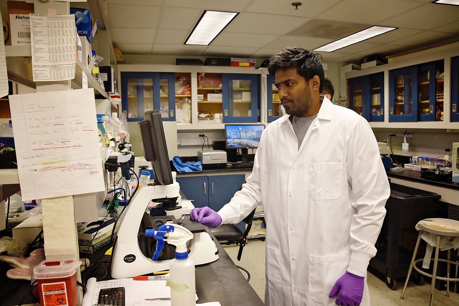 Lab member working in the lab