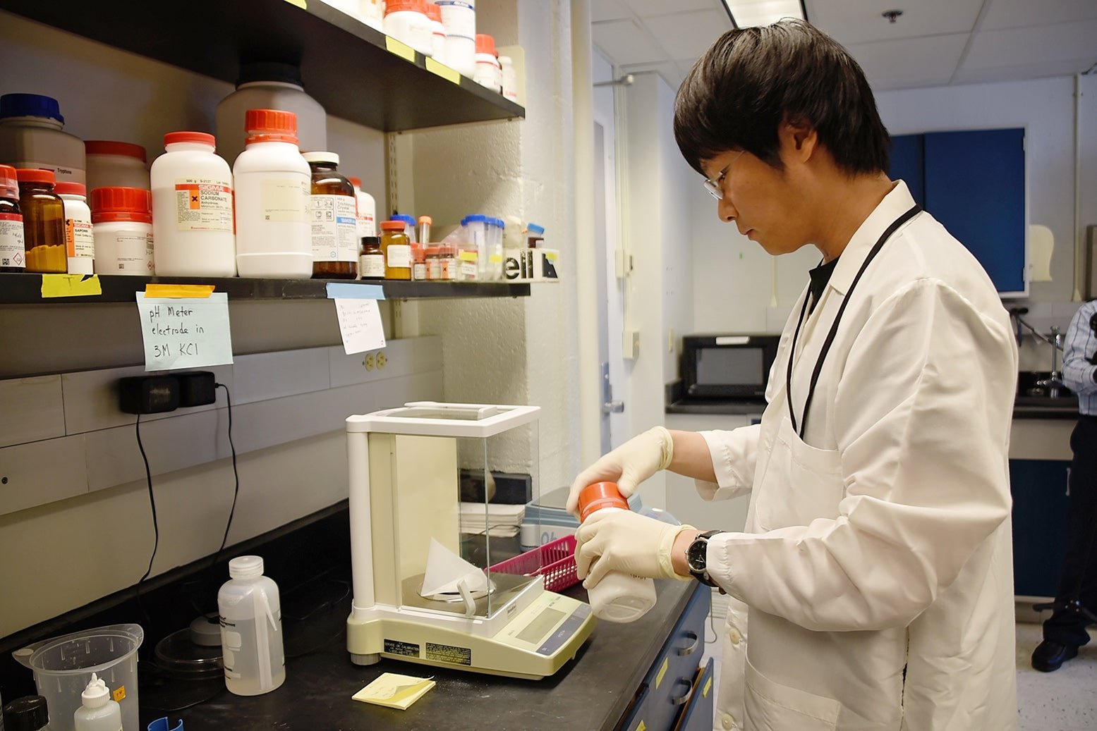 lab member working in the lab