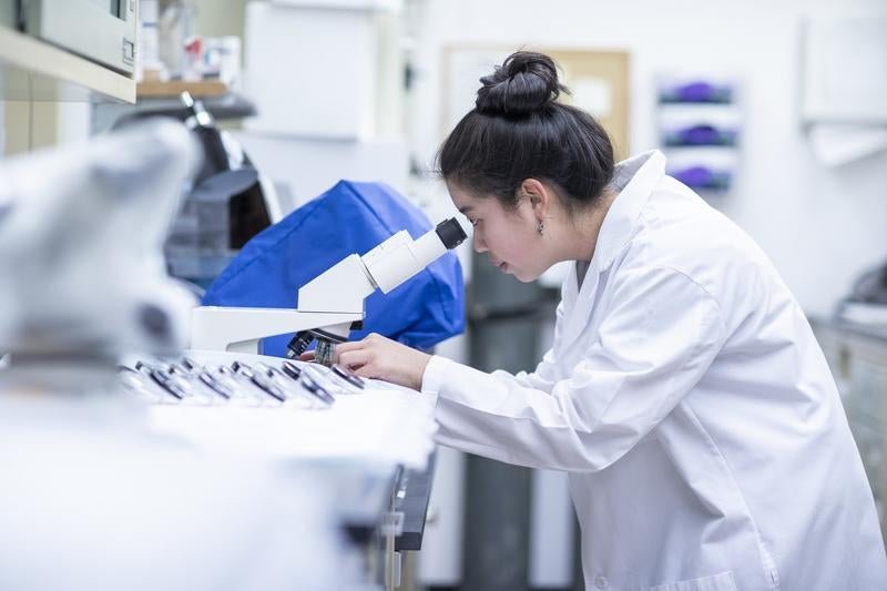 Our lab is currently growing. Click the button below to learn more about our current members.