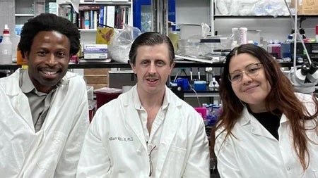 July 2025 - Congratulations to Ukpong Eyo, Tré Mills, and the Eyo lab for their recent publication in Nature Communications! They found that immune cells called microglia play an essential role in determining how well tiny capillaries deliver blood and essential nourishment to our brains. The scientists believe problems with these microglia could be contributing to failing brain health, and targeting them could help us prevent or reverse memory-stealing diseases caused or worsened by lack of adequate blood flow. This could include Alzheimer’s, vascular dementia and even some cases of Parkinson’s.