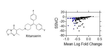 Granade et al., Biochem Pharmacol. 2022 Mar;197:114908
The diacylglycerol kinase (DGK) family of lipid enzymes catalyzes the conversion of diacylglycerol (DAG) to phosphatidic acid (PA). There are few small molecule DGKα inhibitors currently available, and the application of existing compounds to clinical settings is hindered by species-dependent variability in potency.  In order to resolve these issues, we have screened a library of compounds structurally analogous to the DGKα inhibitor, ritanserin, in an effort to identify more potent and specific alternatives.