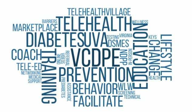 VCDPE's Annual Report 2024-2025