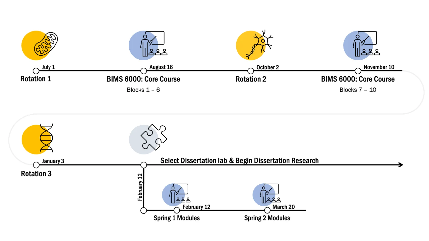 Graphic image of BIMS first year timeline.