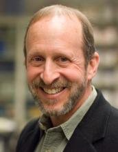 George Bloom, UVA