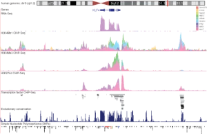 Bouton4 300x195 300x195