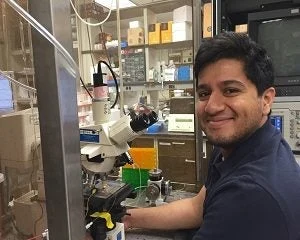 Student in lab with Microscope 
