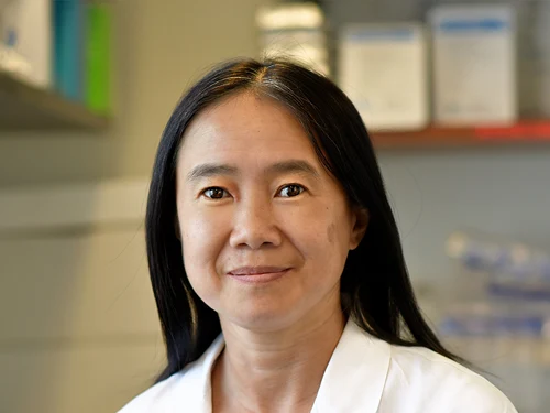 Junlan Yao, PhD — Assistant Professor of Research