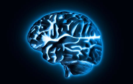 Control of breathing in mammals depends primarily not on sensing oxygen, but rather on detecting concentrations of carbon dioxide in the blood.