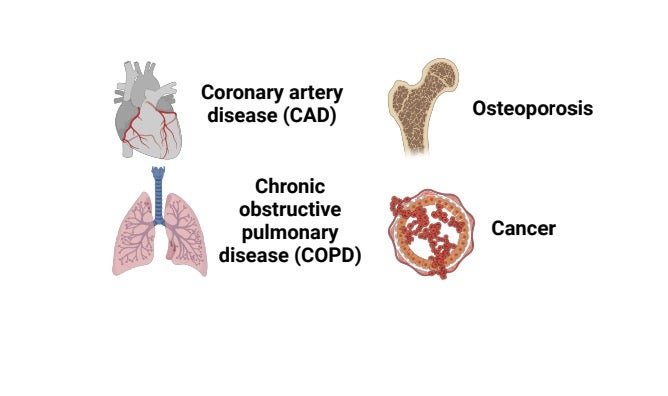 We apply our research to a variety of disease communities, including coronary artery disease (CAD), osteoporosis (BMD), chronic obstructive pulmonary disease (COPD), cancer, and the study of acute myeloid leukemia (AML).
