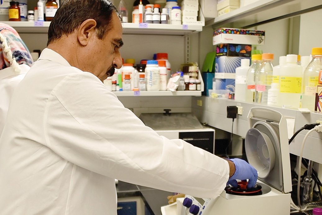 lab member working in lab