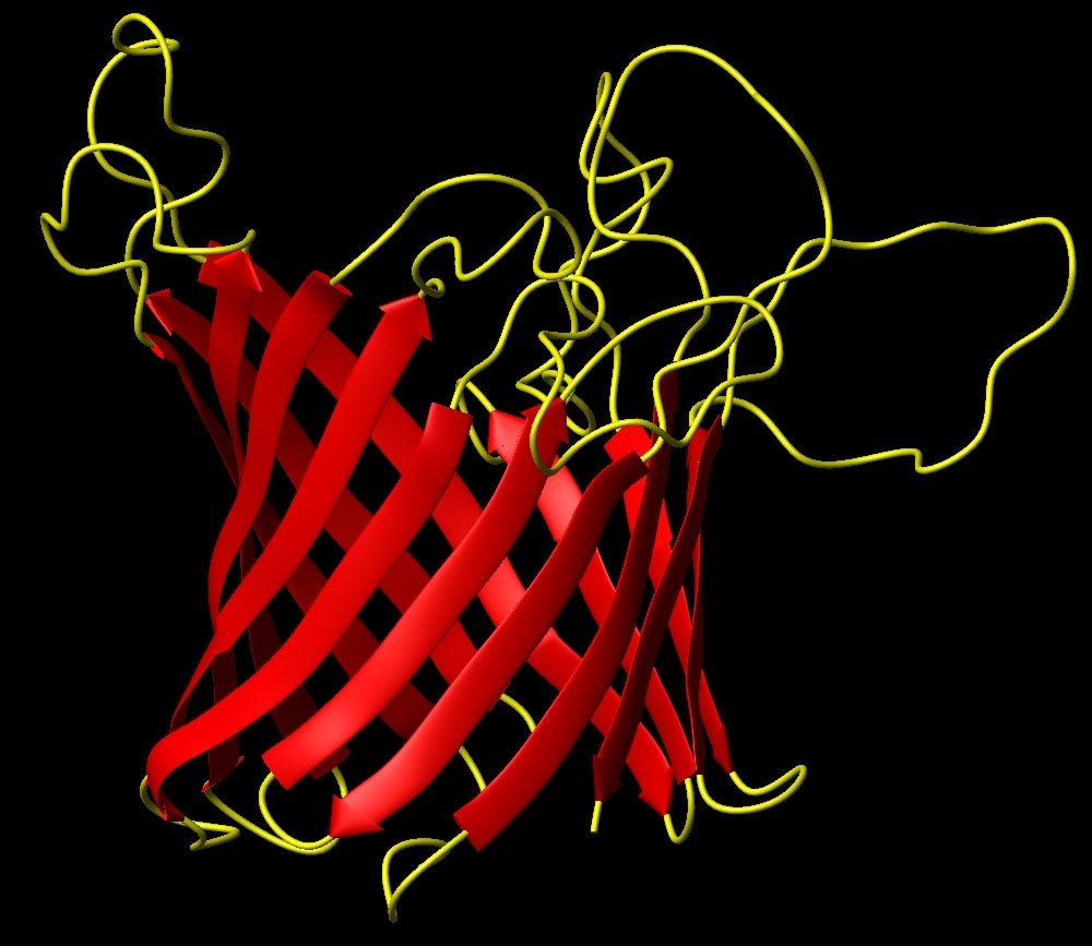 Structure of E. coli OmpG1