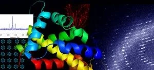 Structural Biology 300x138 300x138