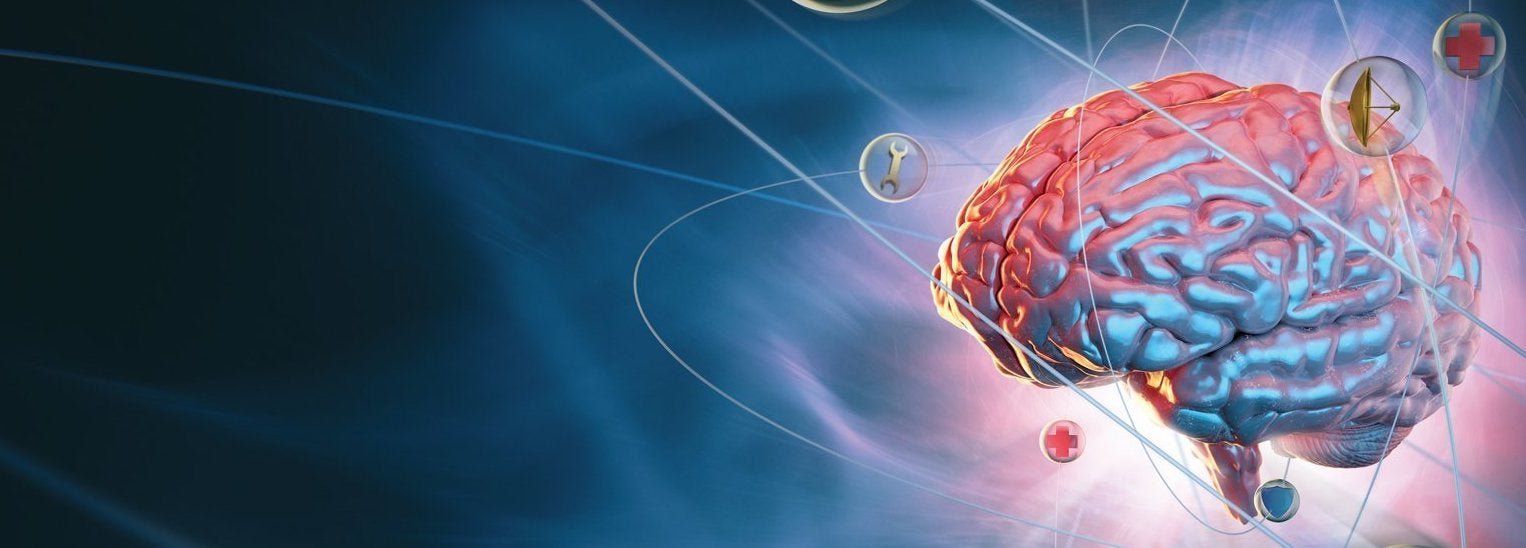 Picture of brain