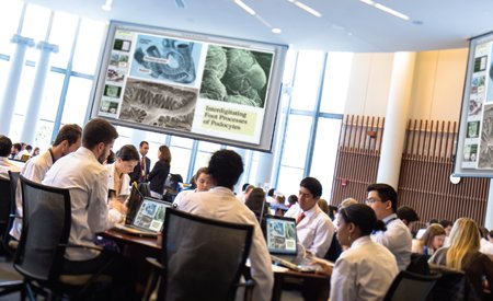 Students at the University of Virginia School of Medicine are engaged and challenged from the first day on Grounds. Our innovative Cells to Society curriculum, provides a comprehensive approach that integrates medical science and practice to teach foundational science in the context of how it is used by physicians in their clinical practice and provides learning experiences across a broad variety of clinical specialties and settings.
