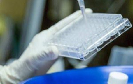 Two undergrad researchers receive Harrison Fellowships for research in Gioeli Lab. Congrats to the recipients of this reward!