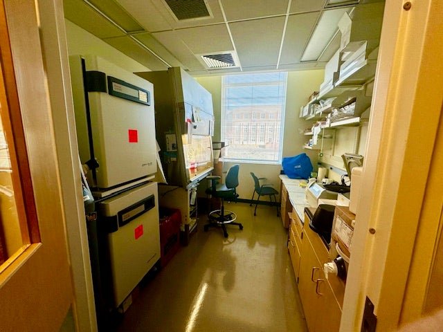 We employ integrative approaches, incorporating biochemistry and molecular biology techniques, to trap and isolate macromolecular machines. Subsequently, we dissect their function to gain a comprehensive understanding of their roles in cellular processes.