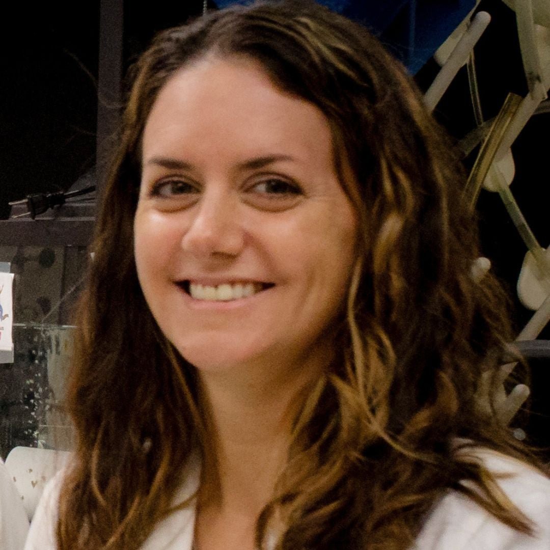 Kandice Levental - University of Virginia Professor of Research, Research Discipline, Molecular Physiology and Biological Physics