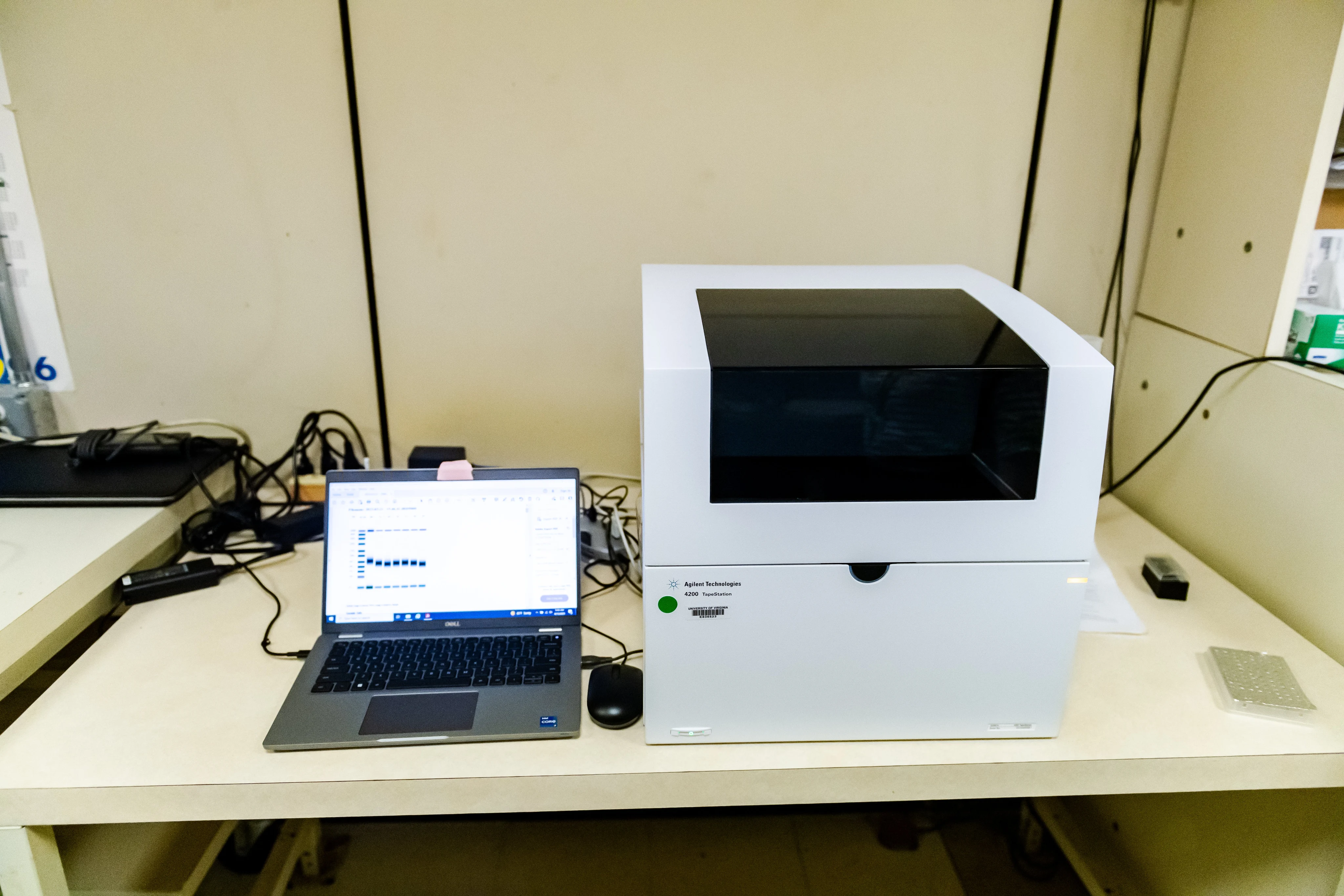 Attaway23 091 300x200