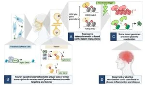 PLoS Pathogens figure