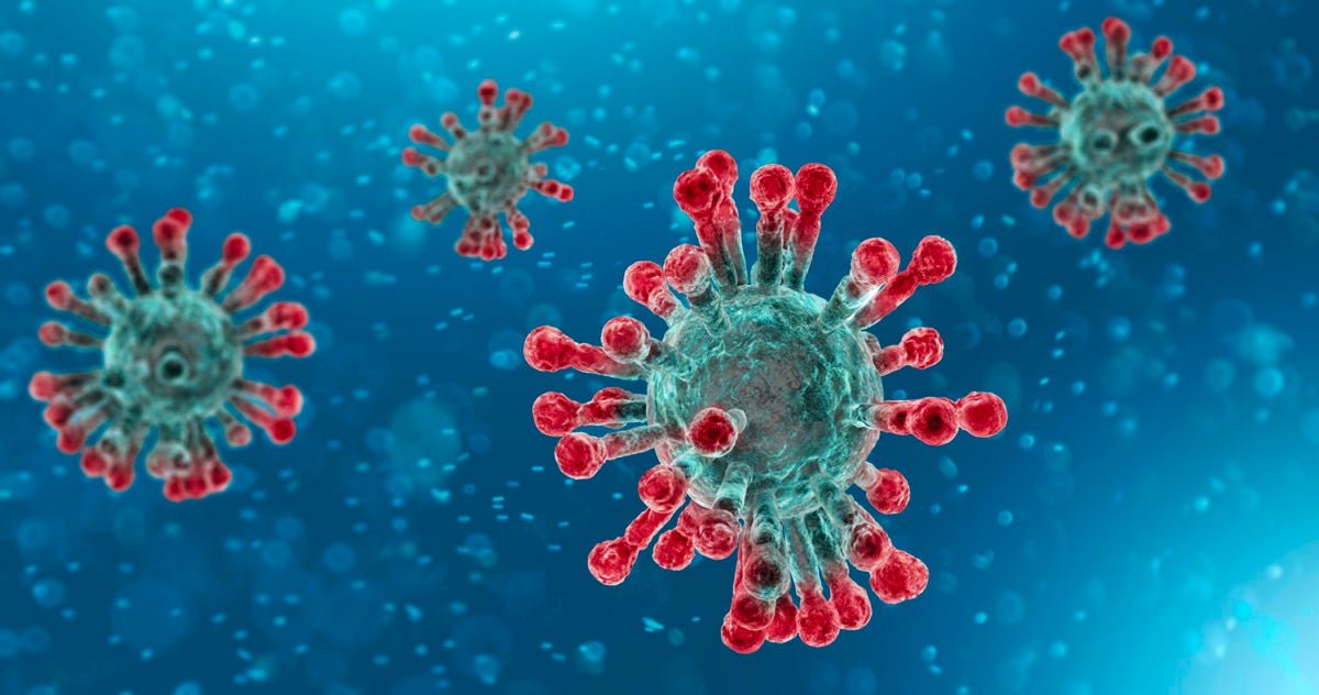 Researchers Dr. William Petri, Allie Donlan and Mayuresh Abhyankar explain what they have learned about COVID-19 treatment and vaccine possibilities.