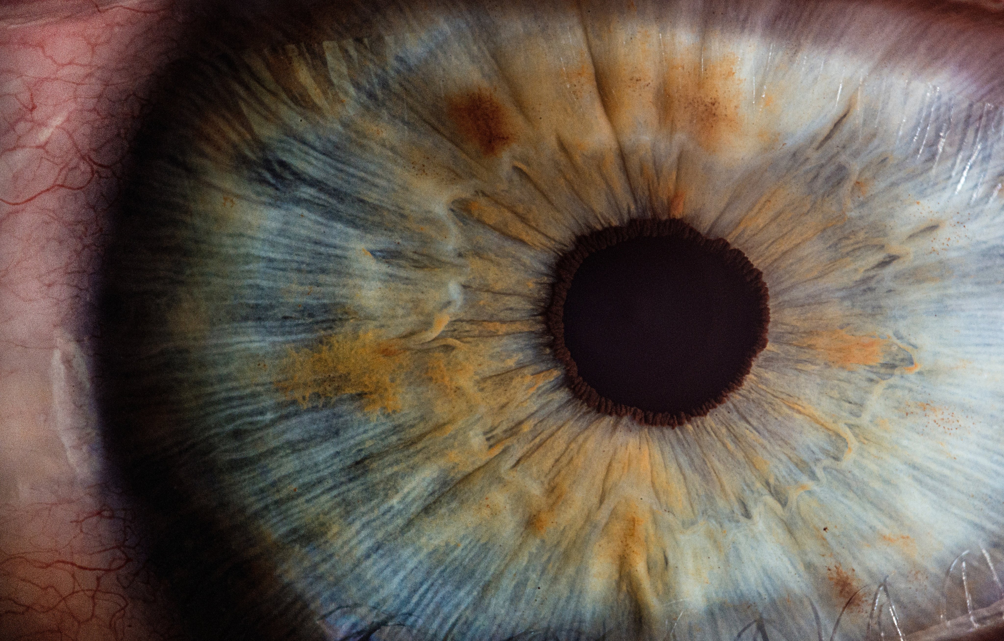 Close up of eye