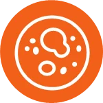 A simple circular graphic art icon depicting a human cell's outline and internal organelles in cross-section