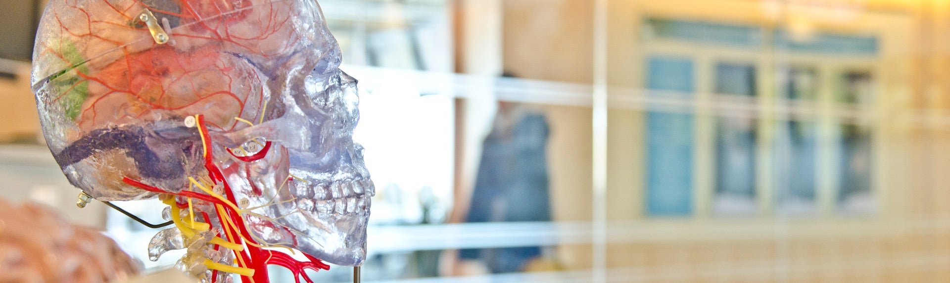 Research Training header
