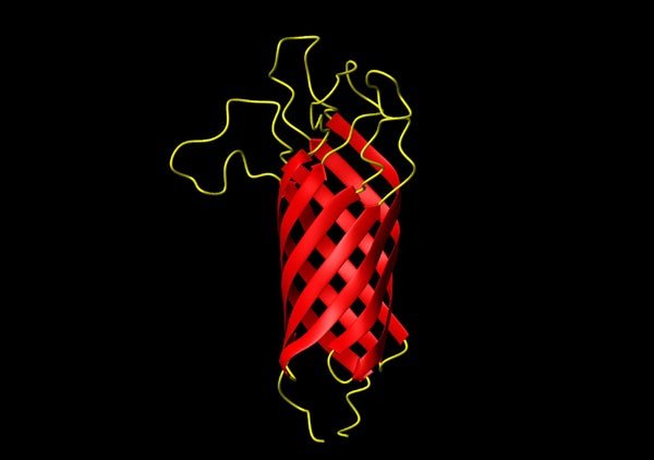 Structure of E.coli OmpA