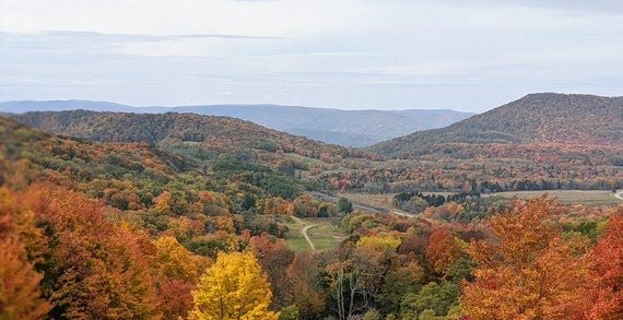 We live and work in communities across the UVA catchment area, developing trusted relationships and networks that result in understanding the regional needs of each community.