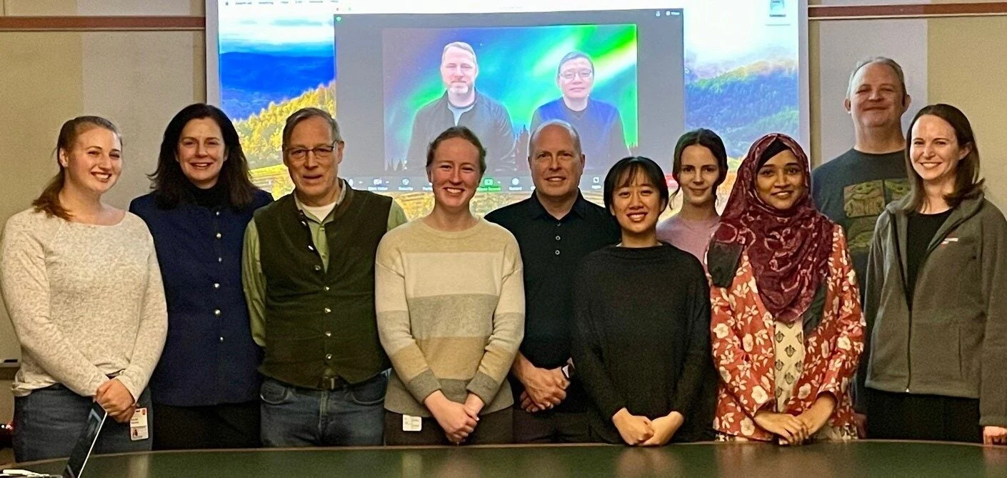 A picture of the Bielinsky-Hendrickson Group