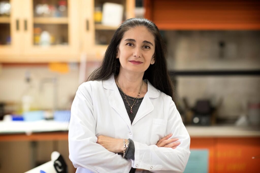 University of Virginia School of Medicine researchers have determined the location of natural blood-pressure barometers inside our bodies that have eluded scientists for more than 60 years.