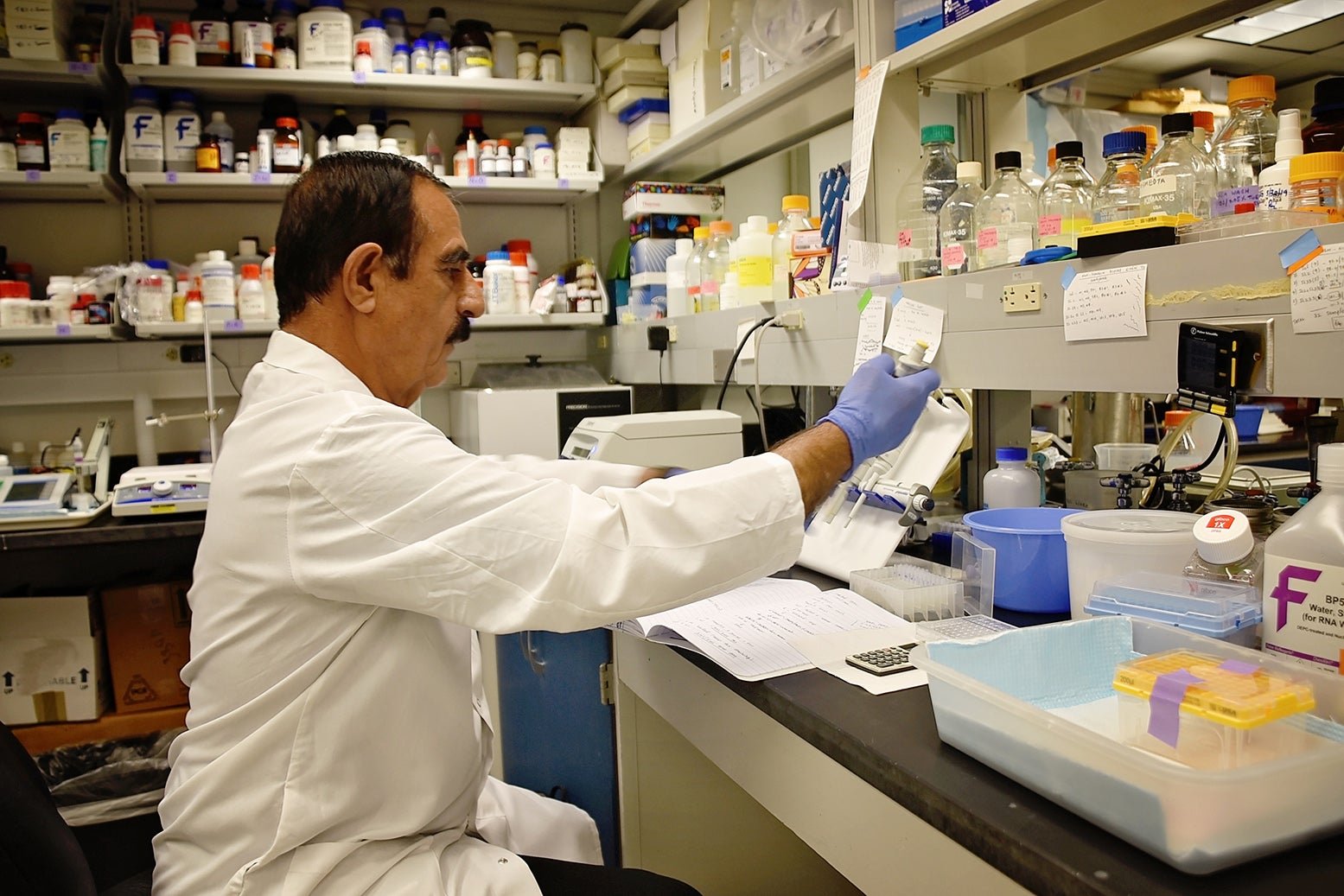 Lab member working in the lab