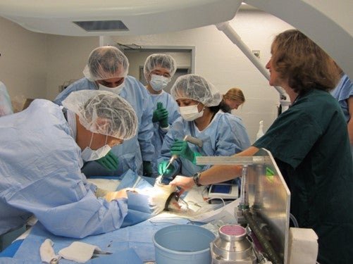 surgery3