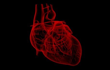 The Robert M. Berne Cardiovascular Research Center was established to expand basic, translational, and clinical research of cardiovascular diseases.