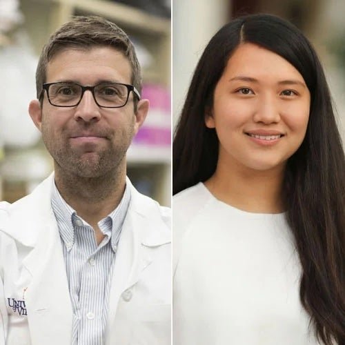 June 2025 - The pioneering research of John Lukens, PhD, Jessica Thanos, and colleagues may be the key to stopping cognitive decline associated with the AD. Their research reveals that an immune molecule called STING drives the formation of the harmful plaques and protein tangles thought responsible for Alzheimer’s. Blocking the molecule protected lab mice from mental decline. STING also may be a key contributor to Parkinson’s disease, ALS (Lou Gehrig’s disease), dementia and other memory-robbing conditions. That means that developing treatments to control its activity could have far-reaching benefits for many patients facing now-devastating diagnoses. Their findings were recently published in Alzheimer's and Dementia: The Journal of the Alzheimer's Association. Congrats to all!